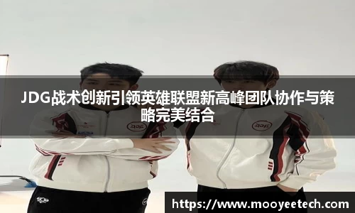 DB旗舰官网