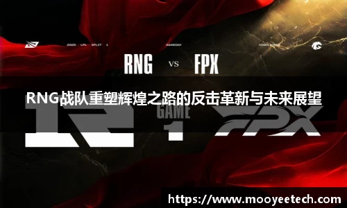 RNG战队重塑辉煌之路的反击革新与未来展望