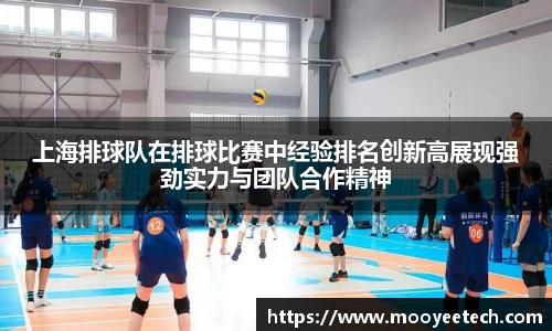 上海排球队在排球比赛中经验排名创新高展现强劲实力与团队合作精神