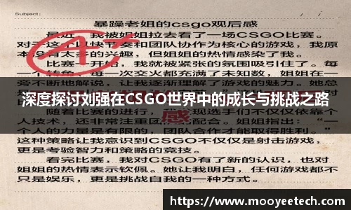 深度探讨刘强在CSGO世界中的成长与挑战之路