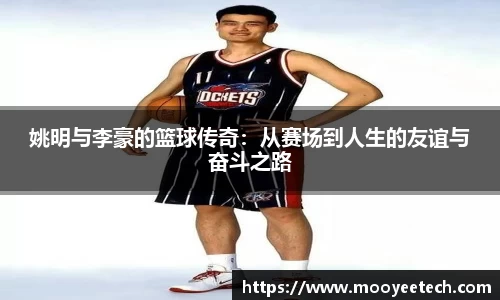 DB真人官方平台
