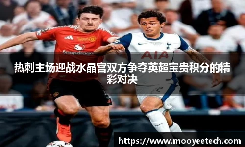 热刺主场迎战水晶宫双方争夺英超宝贵积分的精彩对决