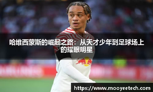 DB旗舰官网
